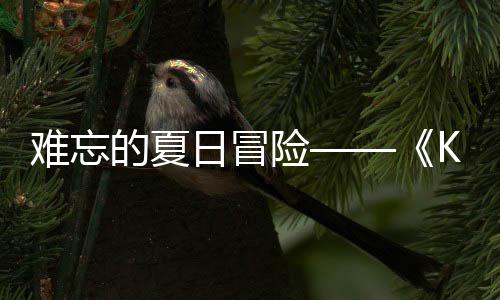 将险 夏启的夏难忘 年日冒日记日开忆岛于月